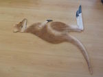 Kangaroo Floor Puzzle