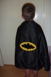 Batman/Spider-Man cape