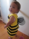 Baby Bee
