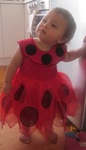 Baby Ladybird