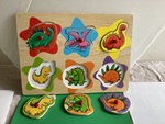 Dinosaurs Peg Puzzle