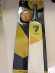 407: Small cricket bat and ball set