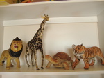 Large African Animals Set