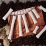 Dinosaur Bones- match and measure set