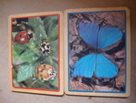 Butterfly and Beetles Puzzles