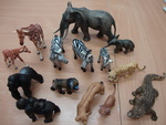 African Animals