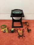 Magnifier insects set