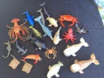 Sea Animal Set