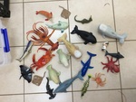 Sea Animal Set