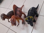 Dinosaur Set