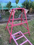 Red climbing Frame