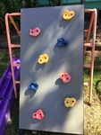 Rock Climber Wall