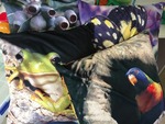 Australian Geographic Cushions