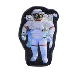 Astronaught Pillows