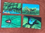 Insect Wooden Puzzles