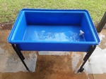 WATER TRAY