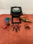Magnifier insects set