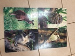 Animal Puzzle Set 