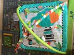 Baby Activity Gym