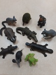 Animals of Australia small