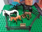 Horse Family Set