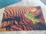 Desert scene Mat