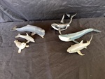 Small Sea Animals