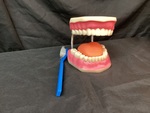 Dental teeth 