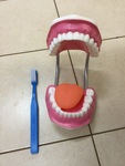 Dental teeth 