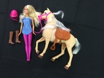Barbie Horse Set