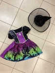 Dress Up Halloween Dress and hat purple