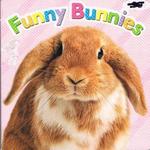 Funny Bunnies