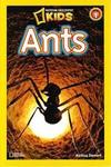 Ants 