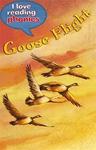 Goose Flight