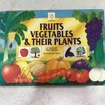 Fruits Vegetables & Their Plants