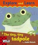 CBINT100072: The tiny, tiny tadpole