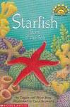 Starfish Stars of the Sea