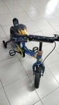 Bicycle - Tricycle (1)