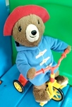 Paddington Bear Tricyle