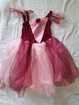 PRINCESS COSTUME - MAROON & PINK