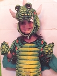 GREEN DRAGON COSTUME