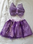 GLITTERING FAIRY COSTUME