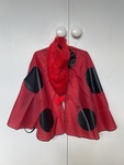 Ladybird Outfit