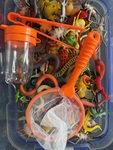 I087: Bug catching kit 