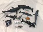 SEA LIFE SET