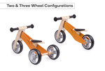 2 IN 1 TRIKE & BALANCE BIKE