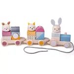 Activity Pull Along Train