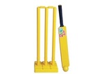 Cricket set