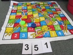 Giant Snakes and Ladders