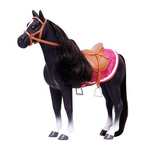 Seren the Welsh Mountain Pony